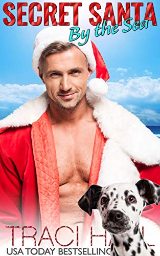 Secret Santa by the Sea book cover