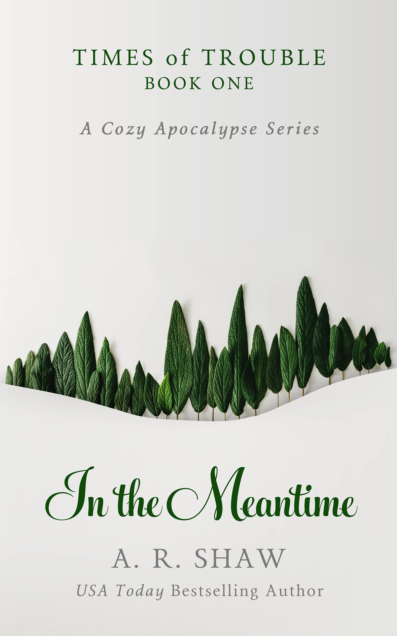 In the Meantime book cover