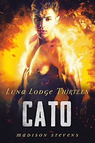 Cato book cover