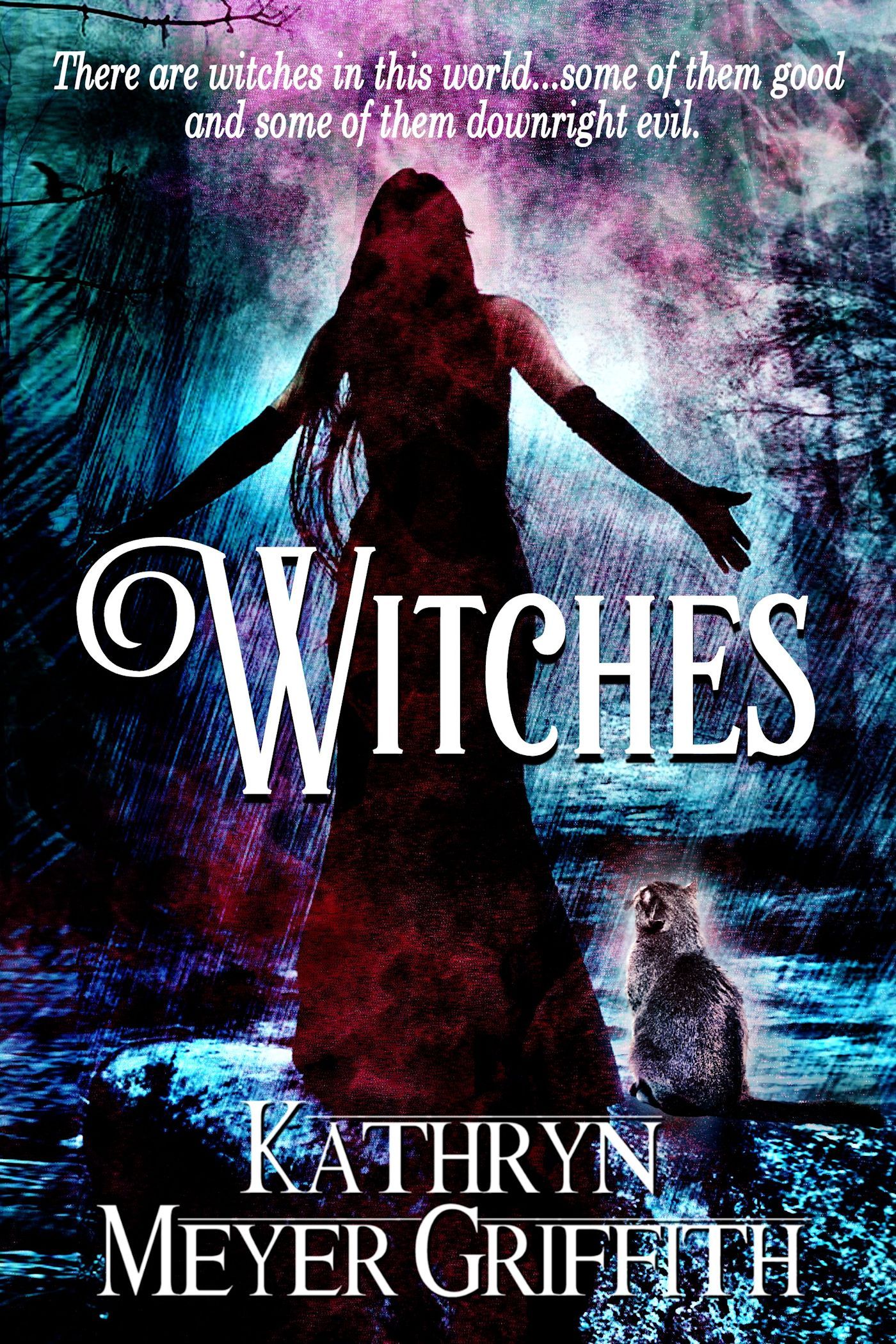Witches book cover