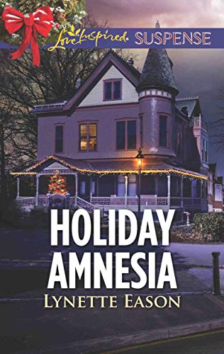 Holiday Amnesia book cover