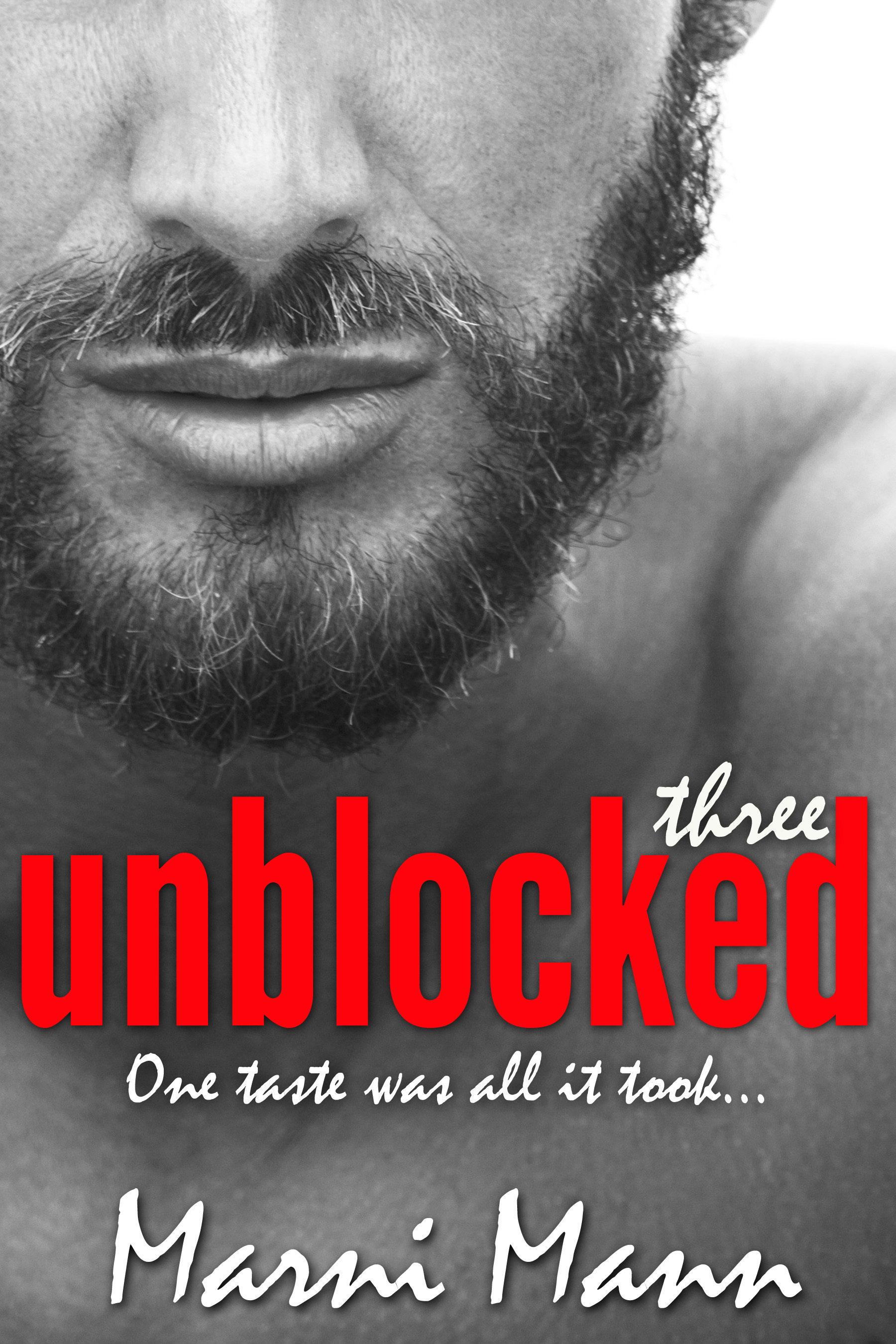 Timber Towers book cover 3