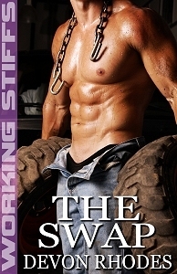 The Swap book cover