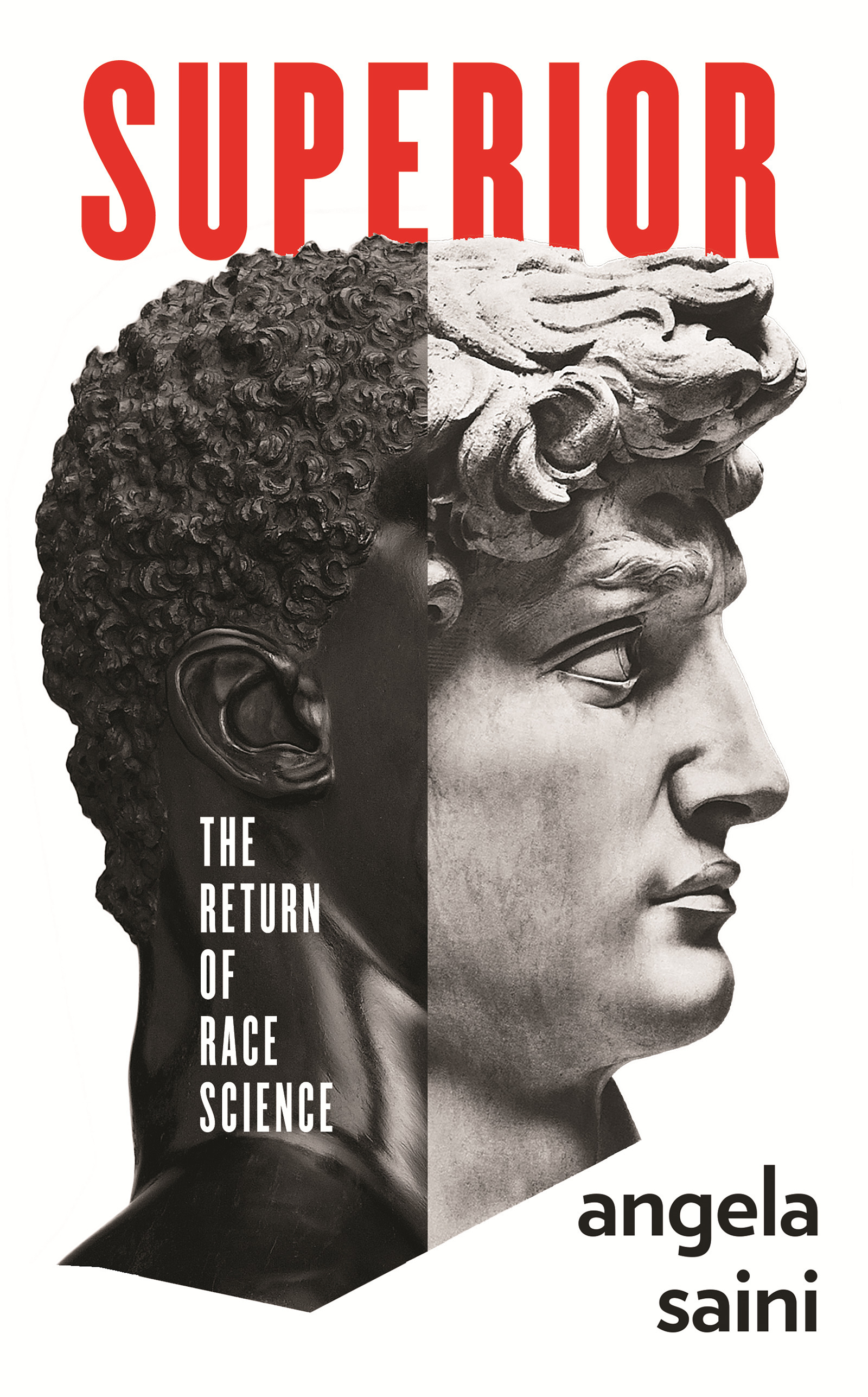 Superior book cover