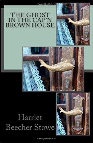 The Ghost in the Cap'n Brown House book cover