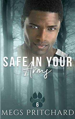 Safe in Your Arms book cover