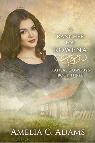 Kansas Cowboys book cover 3