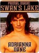 Swan's Lake book cover