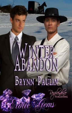 Winter Abandon book cover