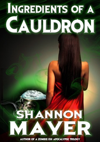 Midnight Rides book cover