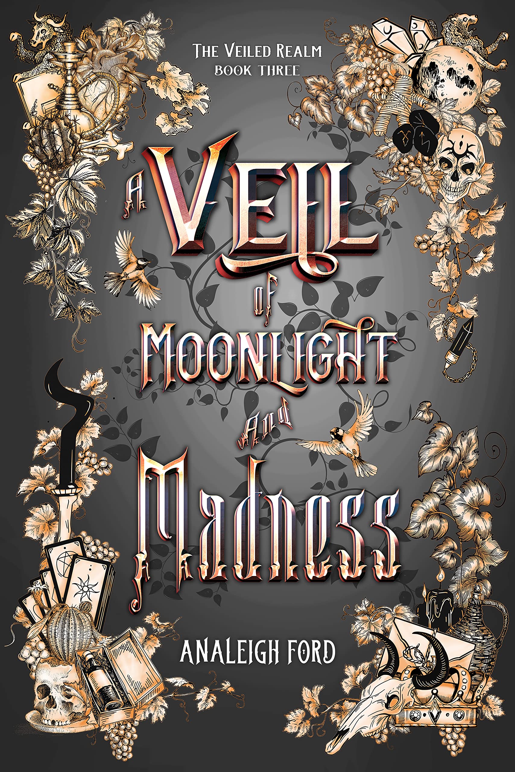 The Veiled Realm book cover 3
