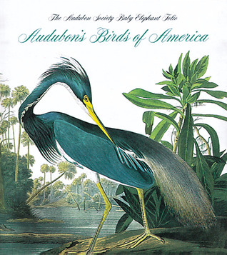 Audubon's Birds of America book cover