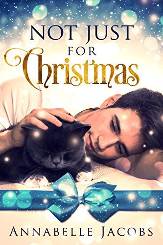 Not Just for Christmas book cover