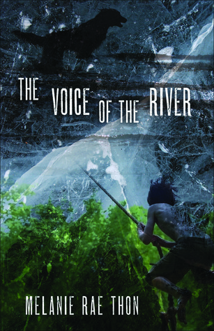 The Voice of the River book cover