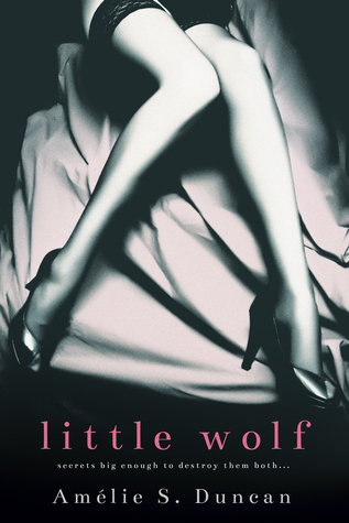Little Wolf book cover