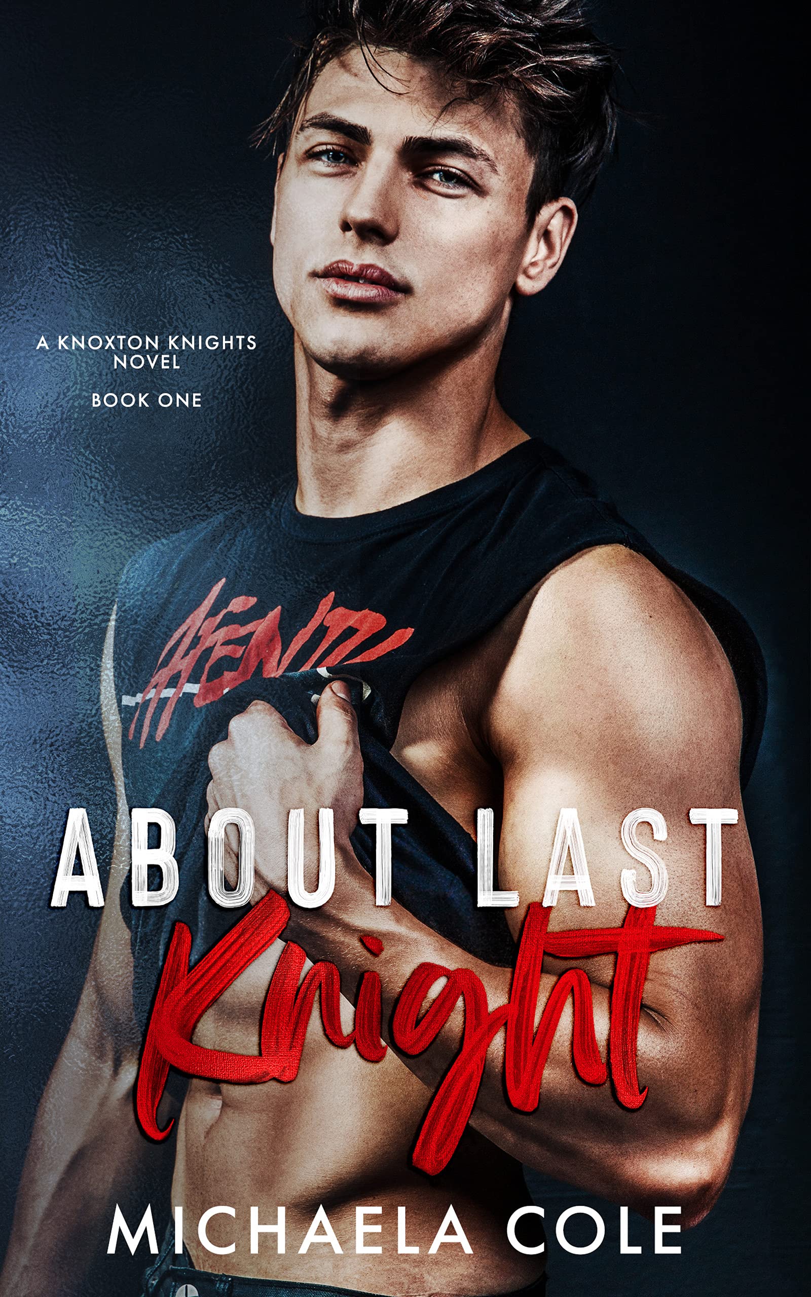 Knoxton Knights book cover 1