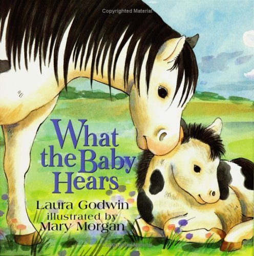 What the Baby Hears book cover