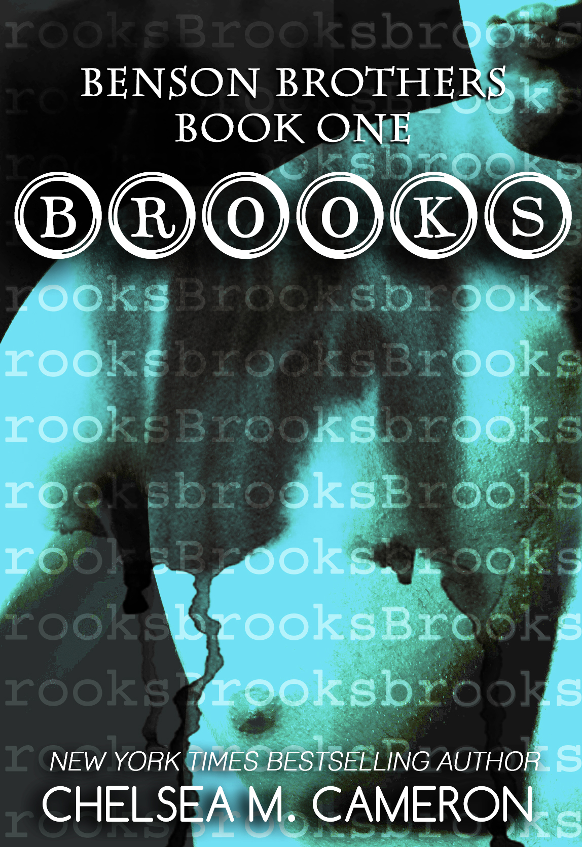 Benson Brothers book cover 1
