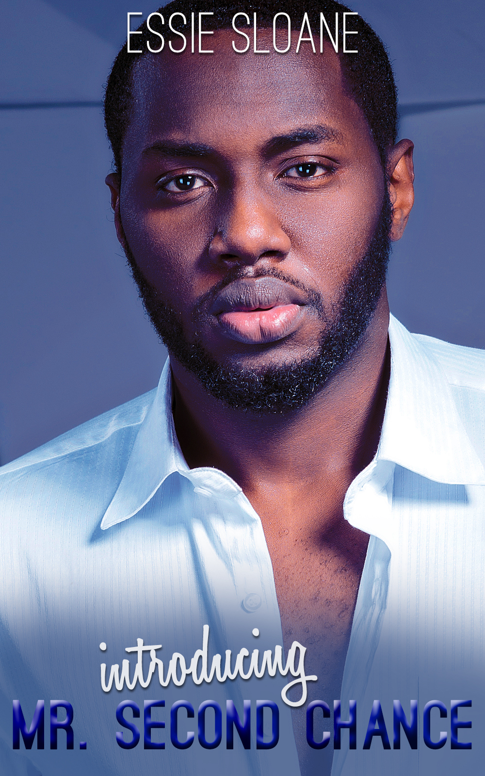 Introducing Mr. Second Chance book cover