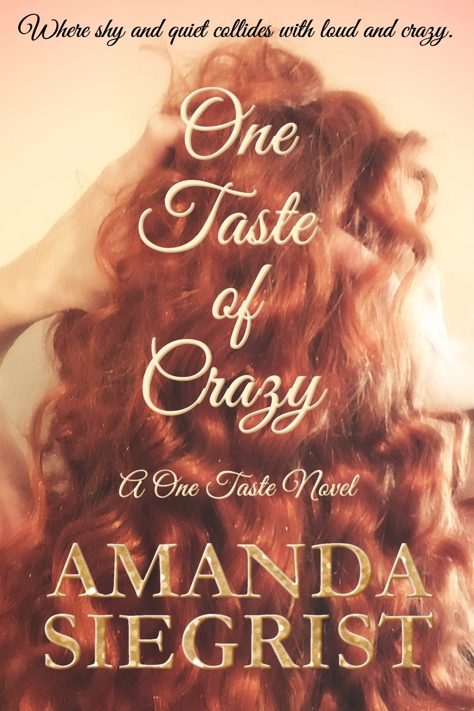 One Taste book cover 3