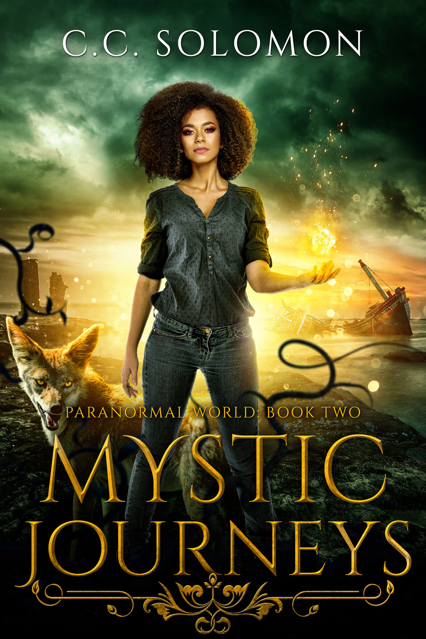 Paranormal World book cover 2
