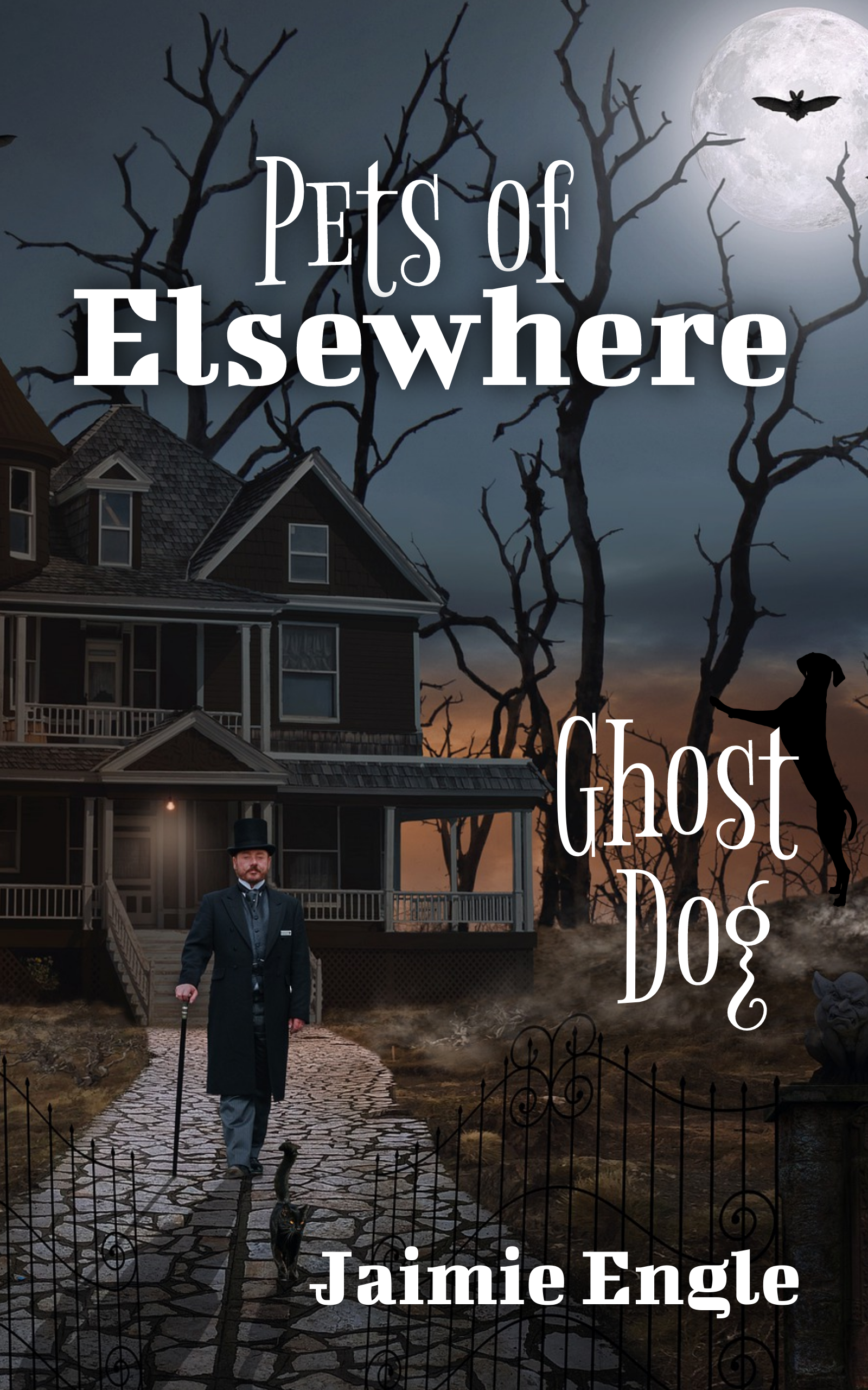 Pets of Elsewhere book cover
