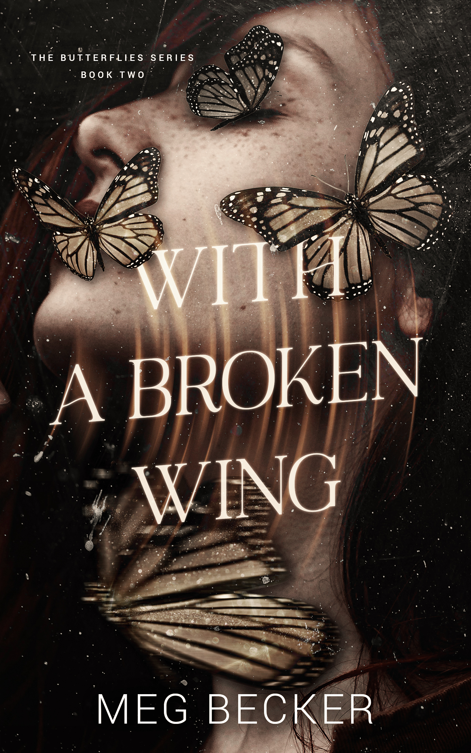 The Butterflies book cover 2