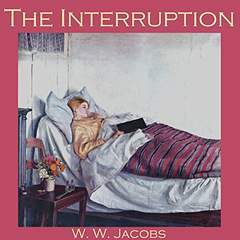 The Interruption book cover