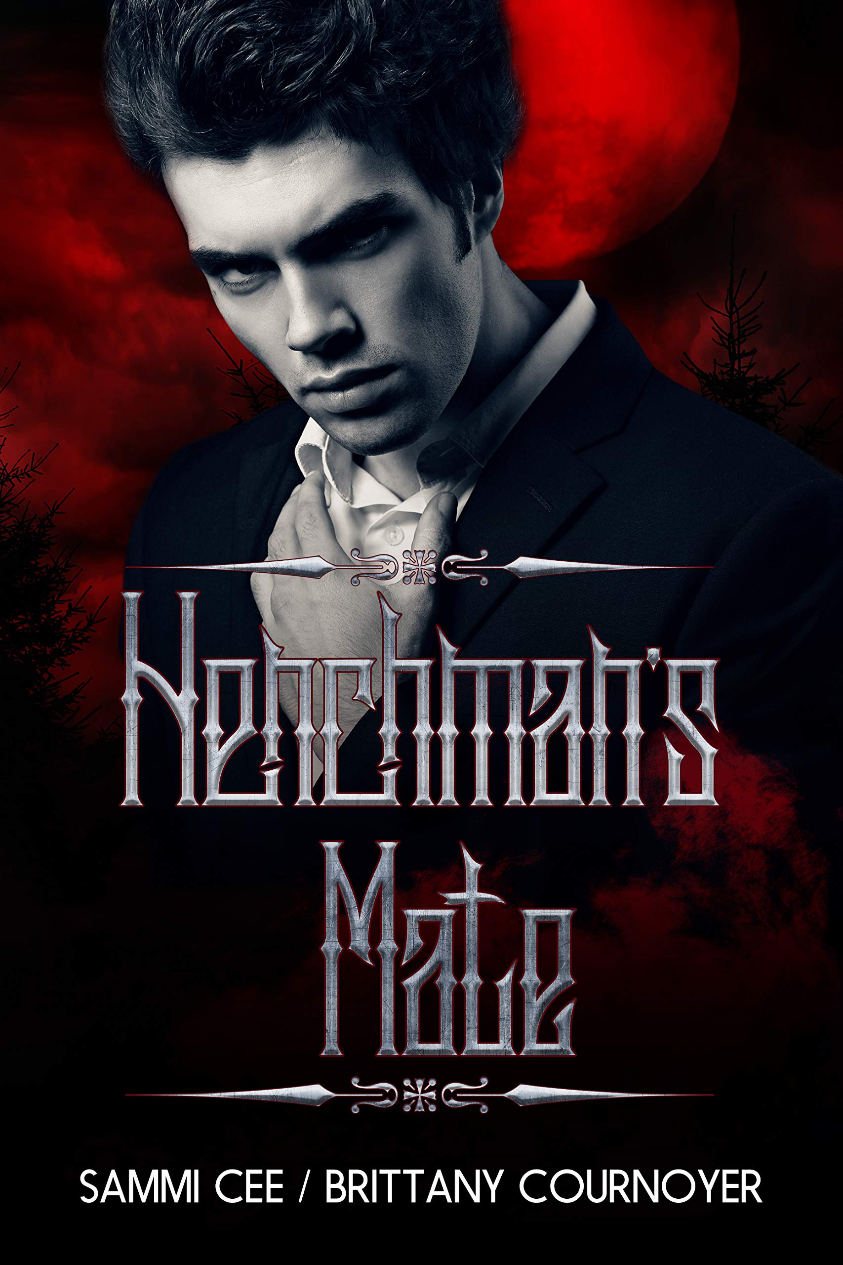 Henchman's Mate book cover