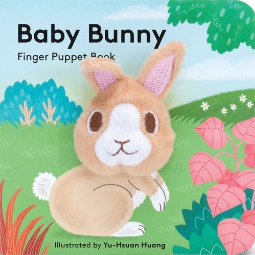 Baby Bunny book cover