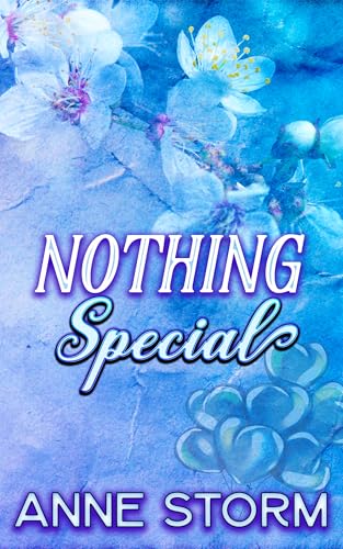 Nothing Special book cover