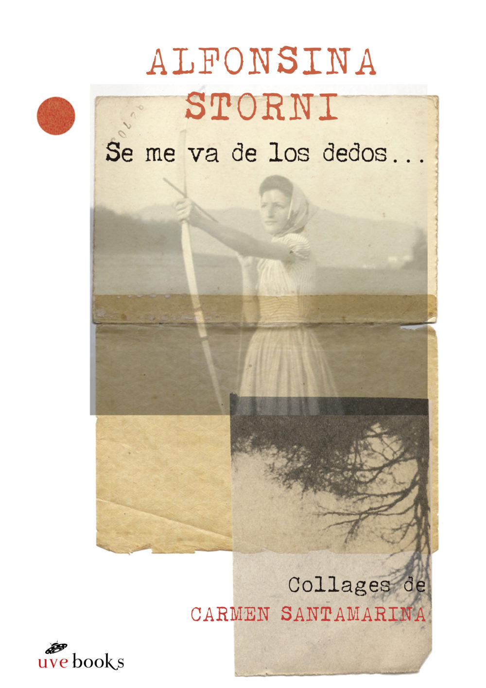 Se me va de los dedos book cover