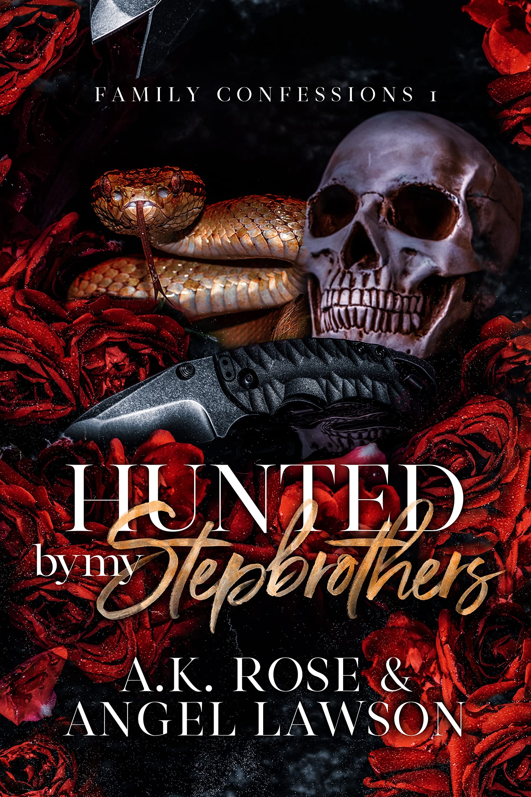 Family Confessions book cover 1