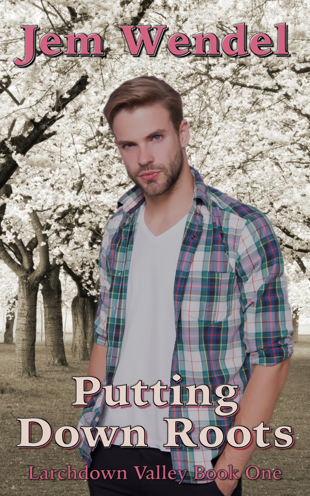 Larchdown Valley book cover 1