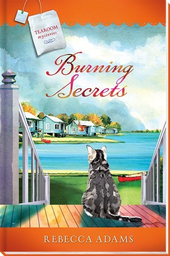 Burning Secrets book cover
