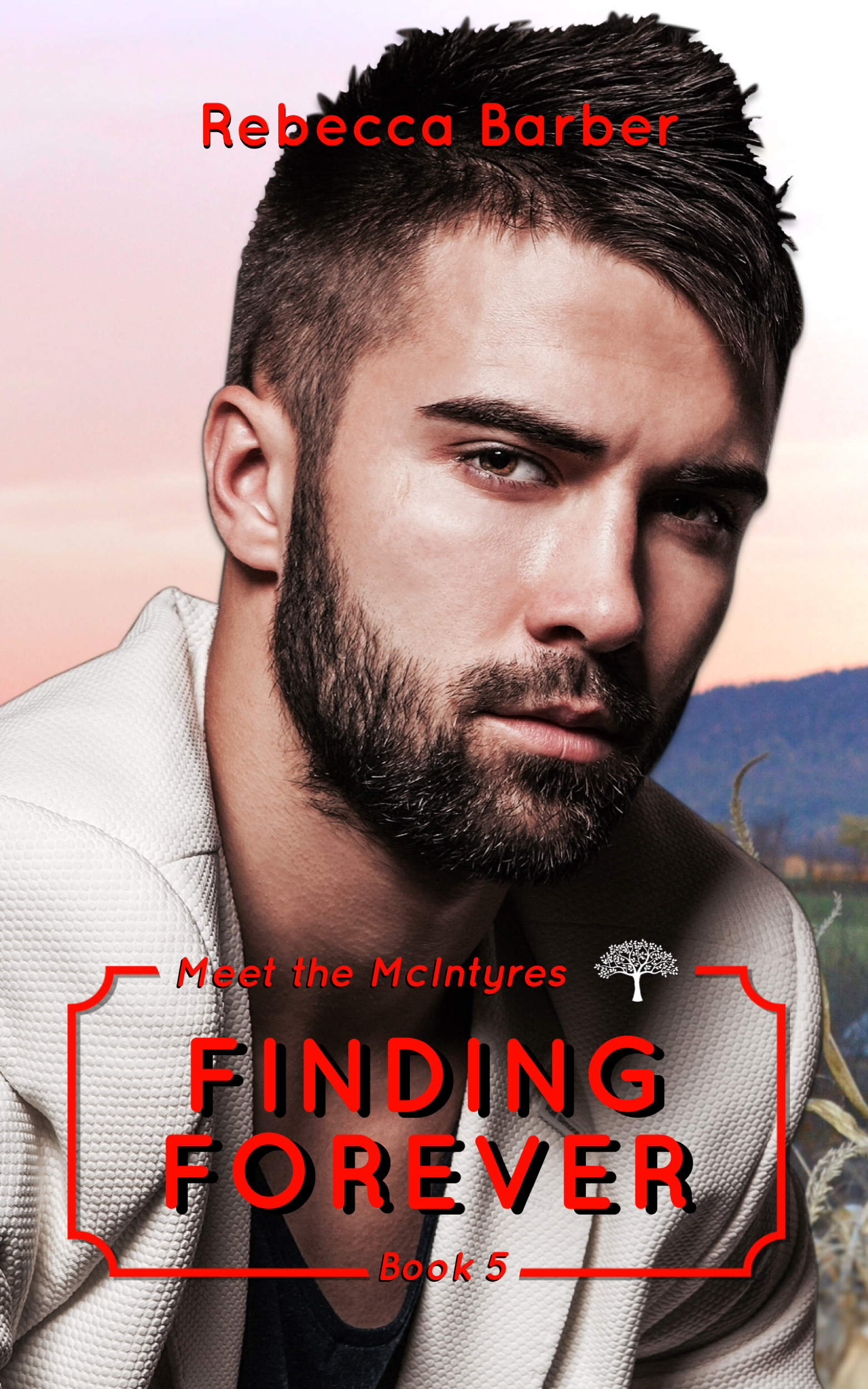 Meet the McIntyres book cover 3