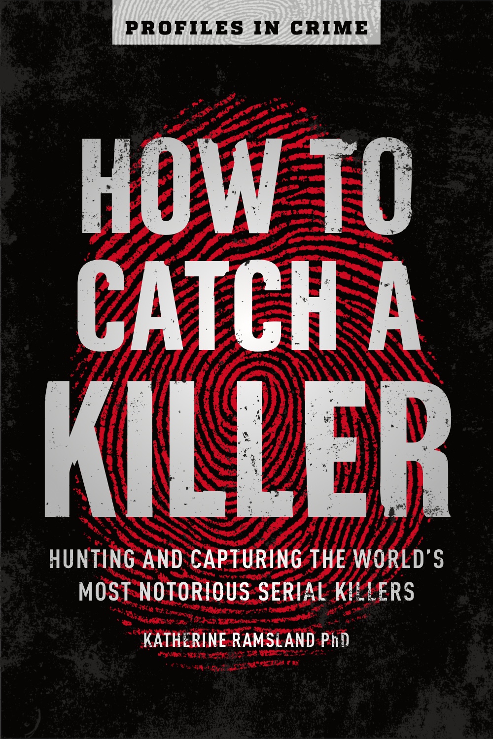 How to Catch a Killer book cover