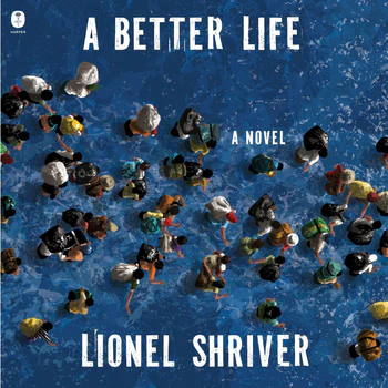 A Better Life book cover