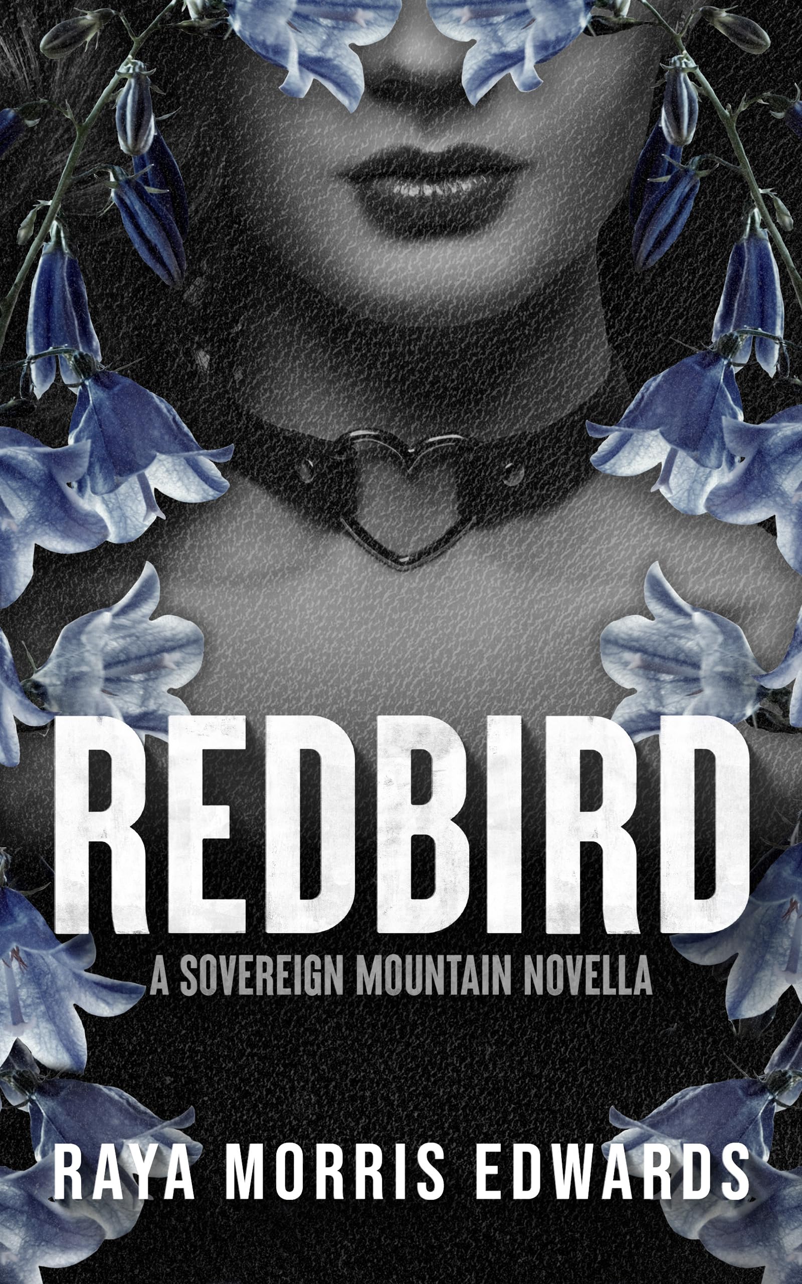 Redbird book cover