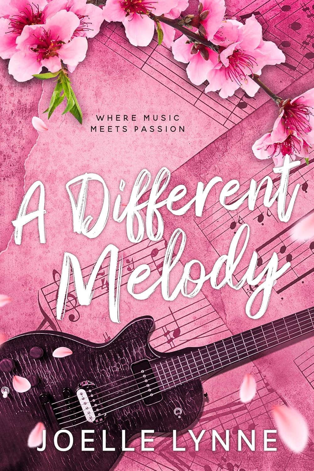 A Different Melody book cover