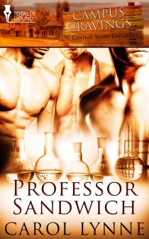 Professor Sandwich book cover