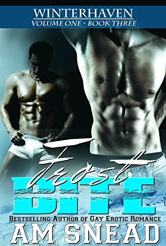 Winterhaven book cover 1