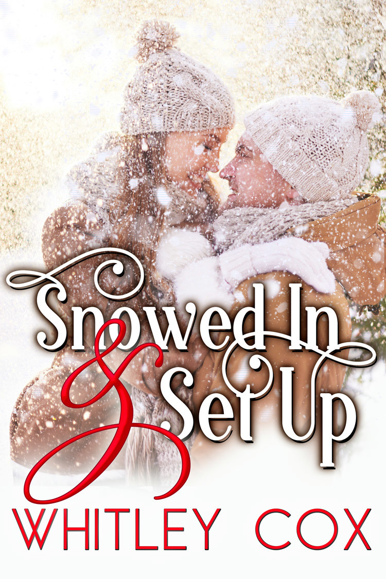 Snowed In & Set Up book cover