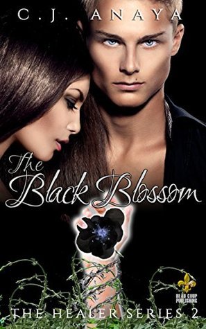 The Healer book cover 2