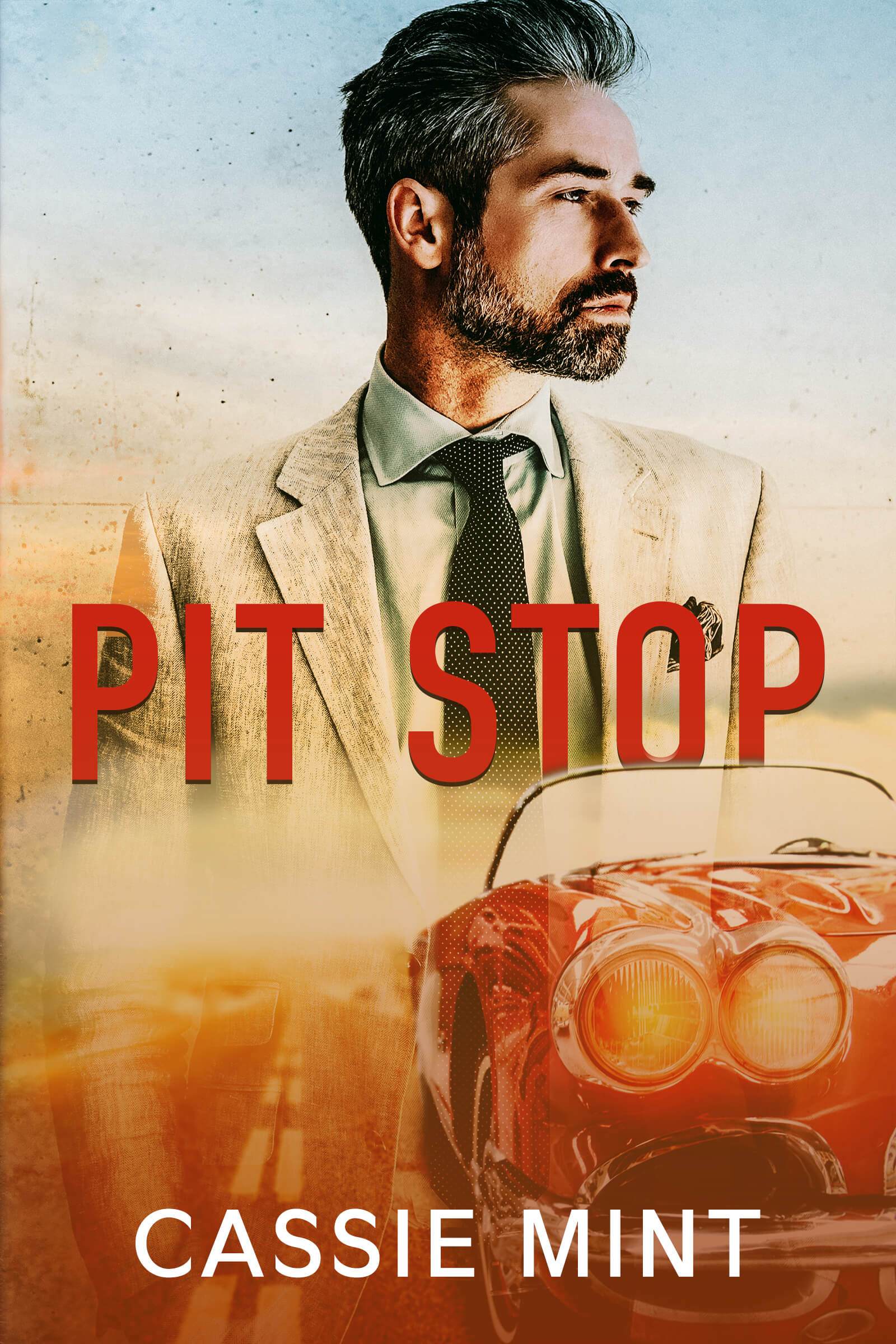 Pit Stop book cover