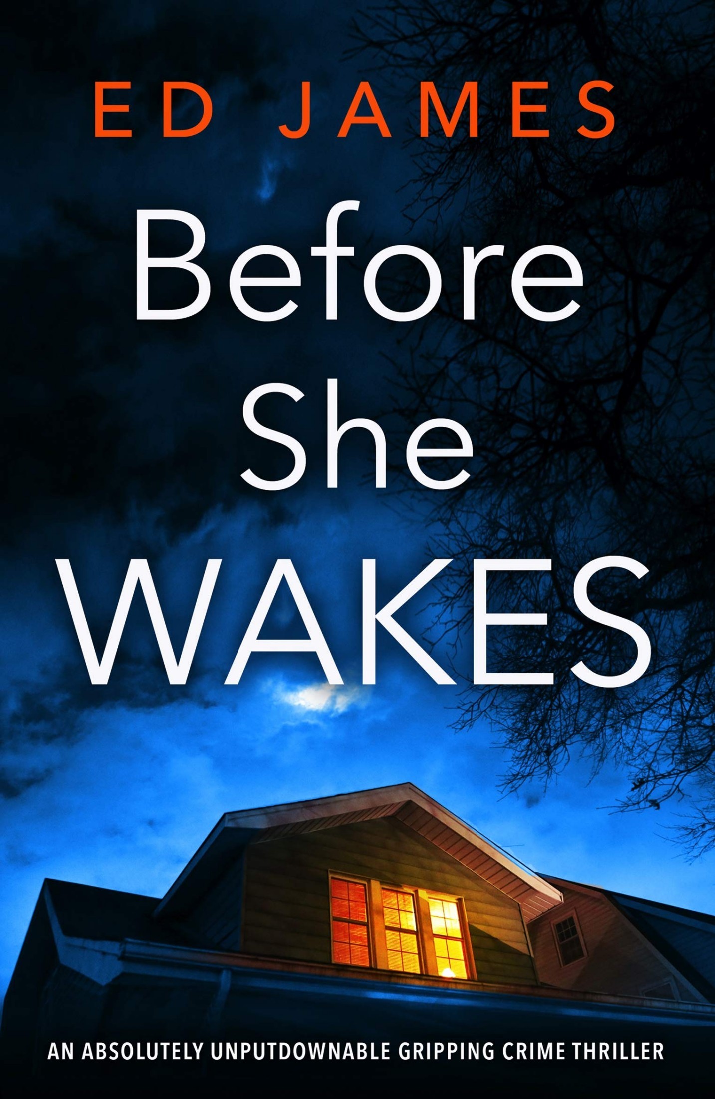 Detective Max Carter book cover 3