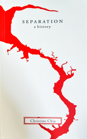 Separation book cover
