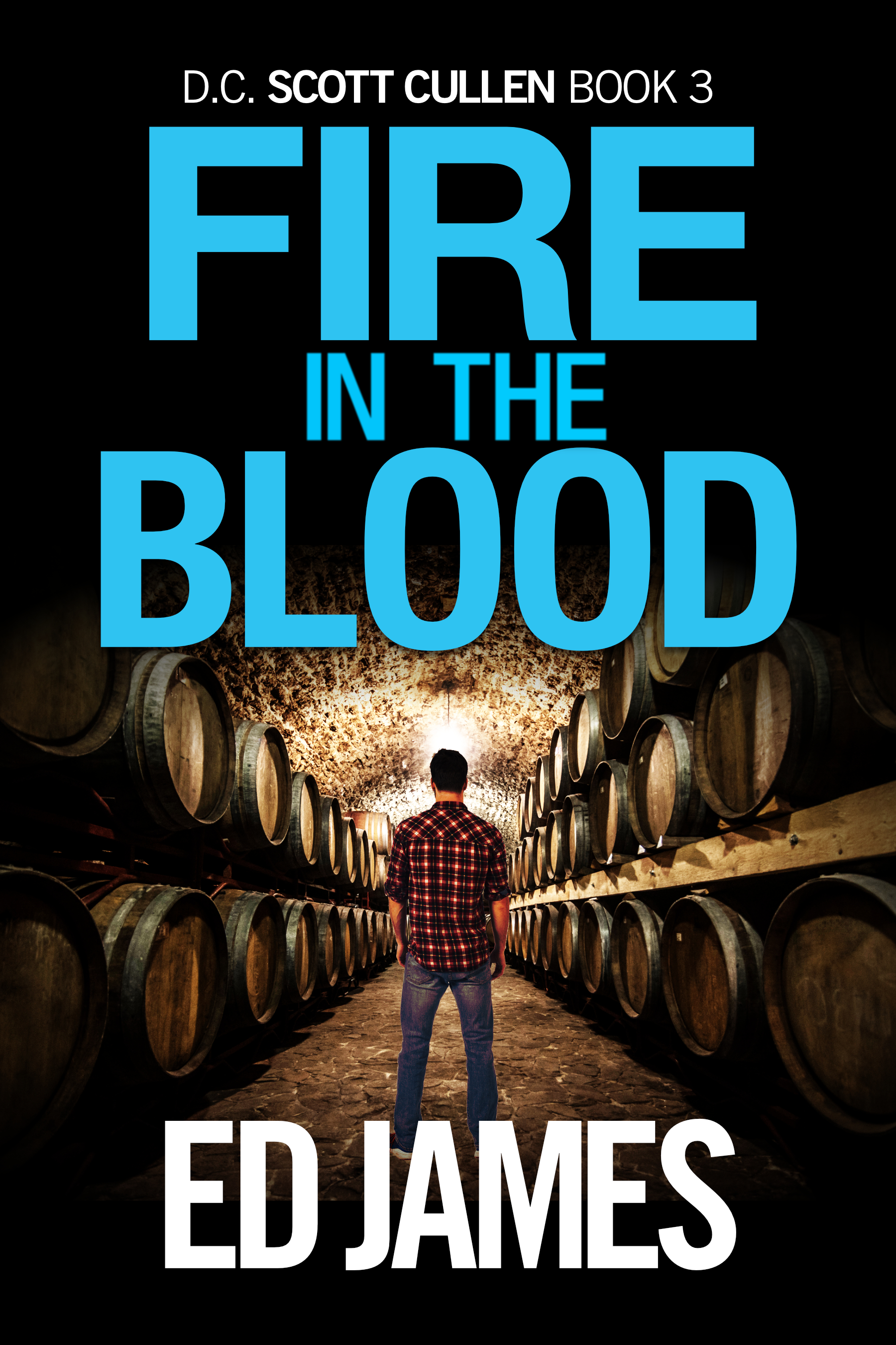 Scott Cullen Mysteries book cover 3