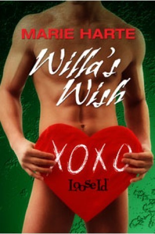 Willa's Wish book cover