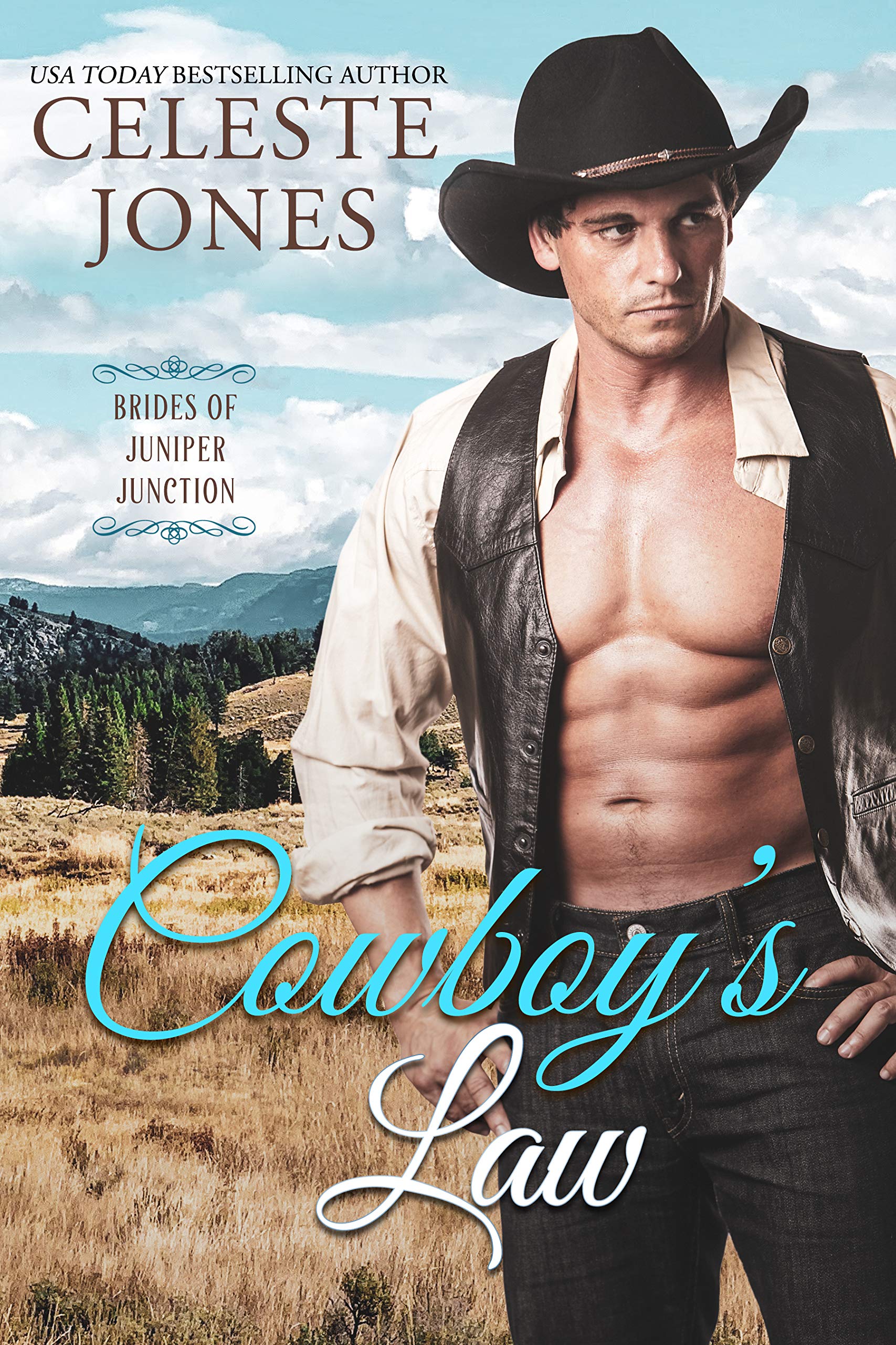 Brides of Juniper Junction book cover 1